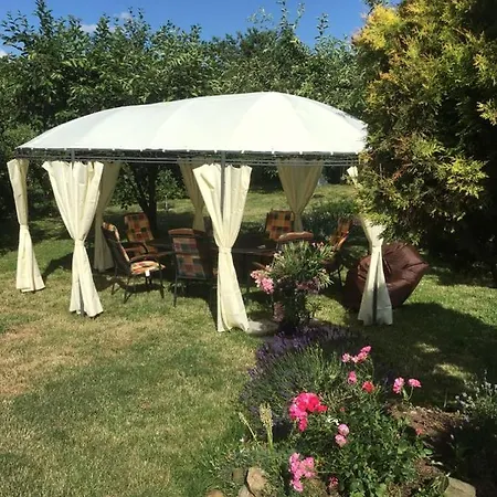 In The Garden *